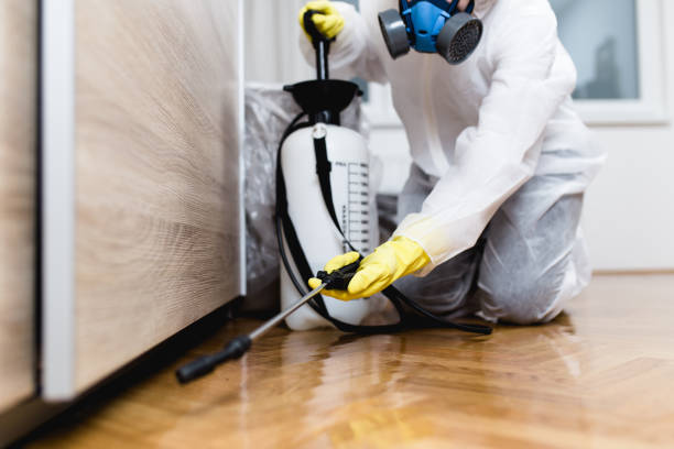 Best Wasp Removal Services  in Packanack Lake, NJ