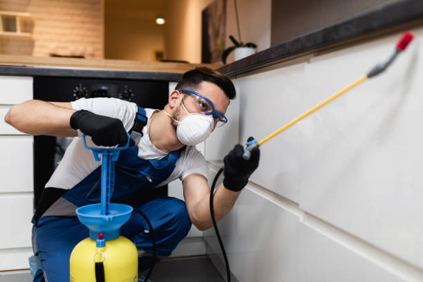 Best Commercial Pest Control Services  in Packanack Lake, NJ
