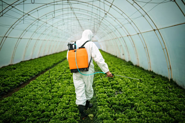 Professional Pest Control in Packanack Lake, NJ