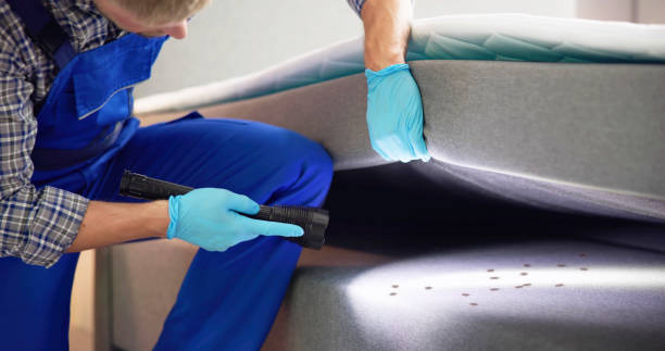 Best Pest Control for Homes  in Packanack Lake, NJ