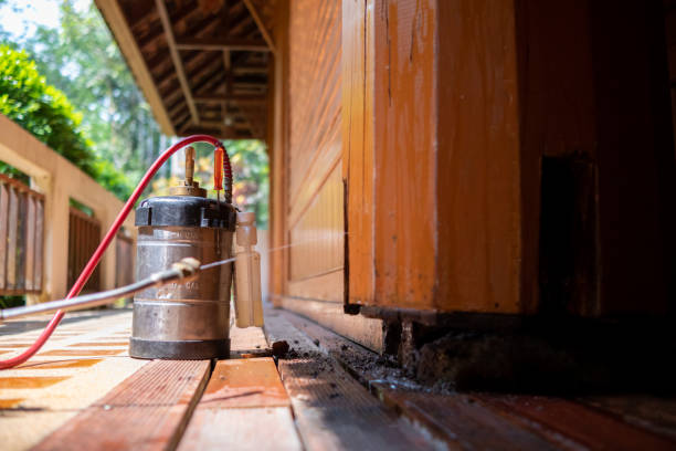 Best Best Pest Control Companies  in Packanack Lake, NJ