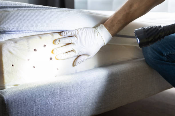 Best Pest Removal Services  in Packanack Lake, NJ