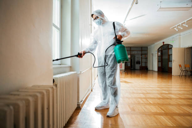 Best Pest Control Near Me in Packanack Lake, NJ