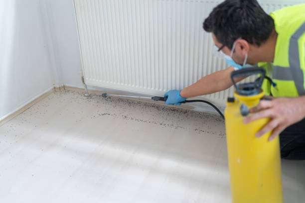 Best Residential Pest Control  in Packanack Lake, NJ