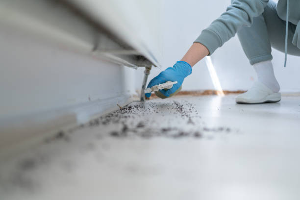 Best Local Pest Control Services  in Packanack Lake, NJ