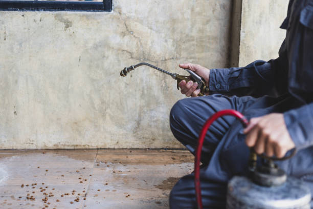 Best Pest Removal Services  in Packanack Lake, NJ