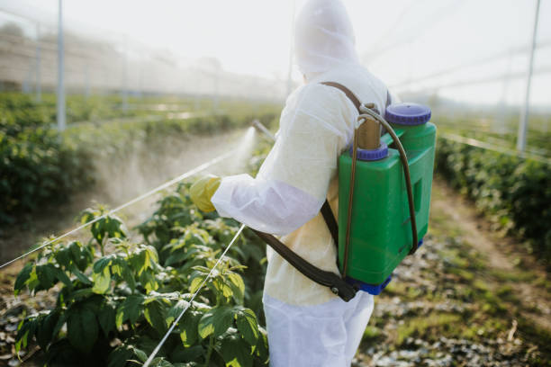 Best Affordable Pest Control Services  in Packanack Lake, NJ